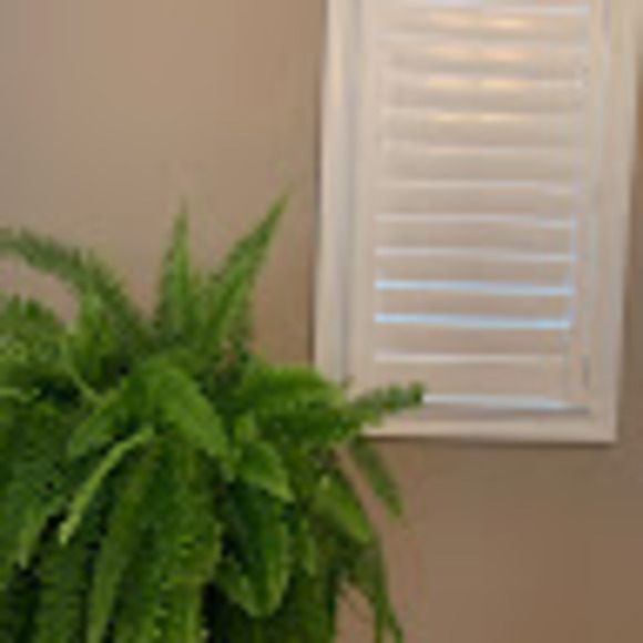 Meet your Posher, Eon - Picture 1 of 1